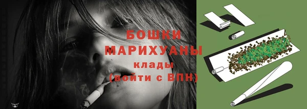 прущий лед Бородино