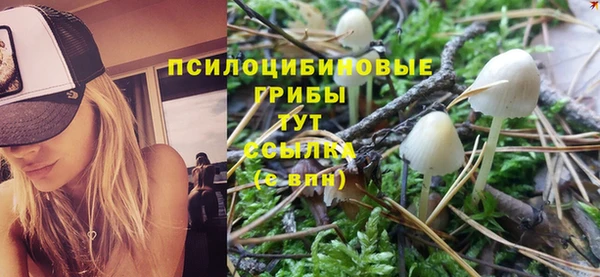 круглые Арсеньев