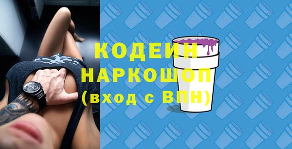 прущий лед Бородино