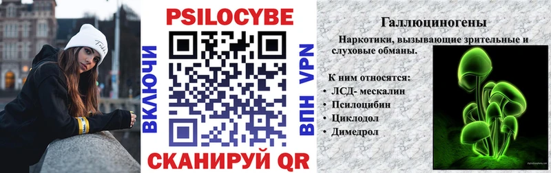 omg сайт  Валдай  Галлюциногенные грибы Psilocybine cubensis 